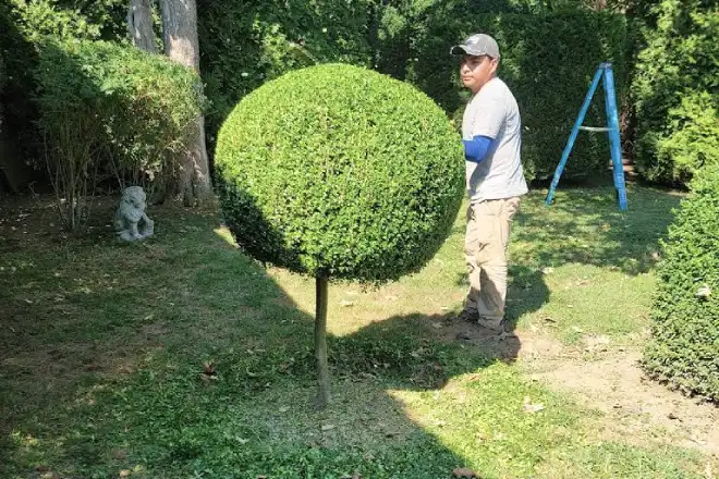Affordable Landscape Maintenance