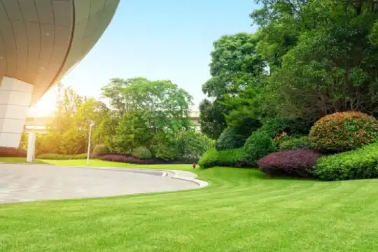Commercial Landscaping